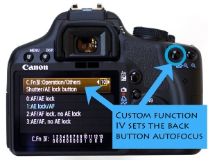 Setting up a Canon for Back Button Focus