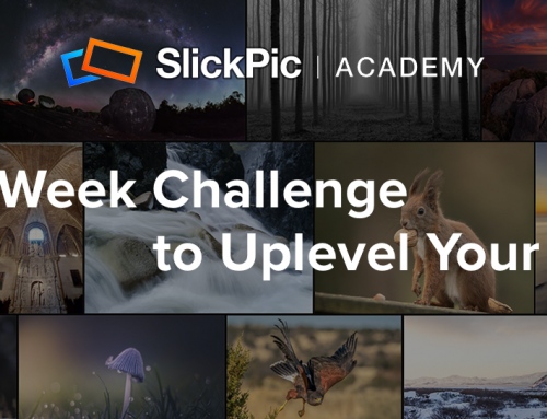 SlickPic Academy: A 52-Week Challenge to Uplevel Your Skills