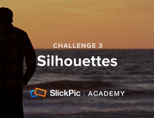 Challenge 3: Silhouettes