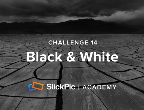 Challenge 14: Black & White
