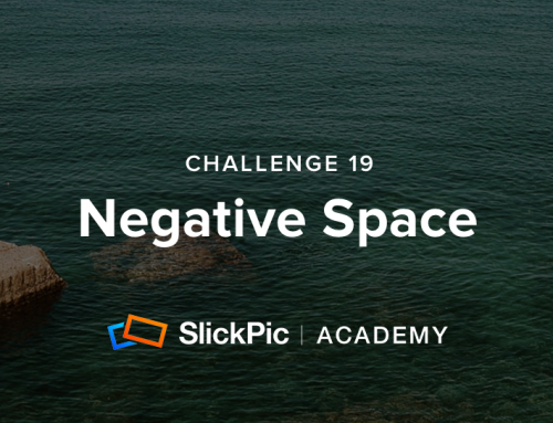 Challenge 19: Negative Space